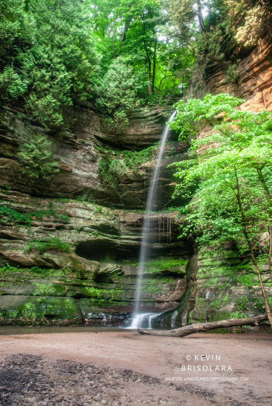 MAJESTIC FALLS FROM THE PARK