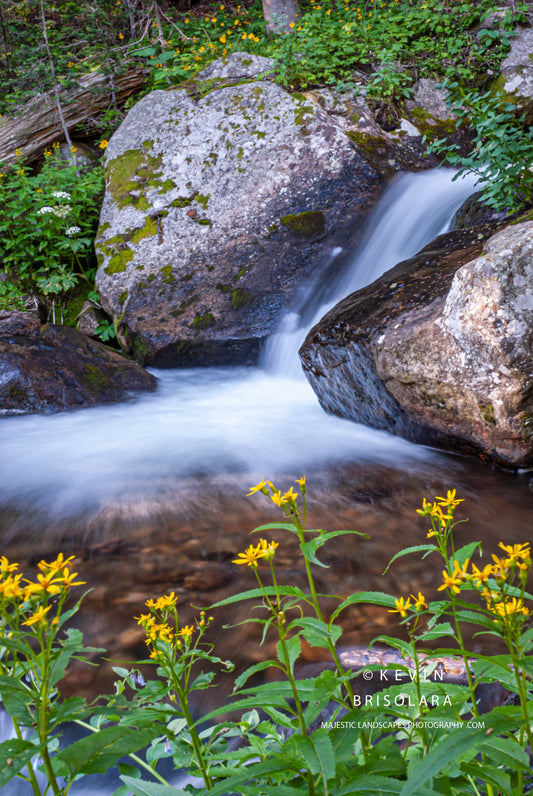 WATERFALLS ALONG GLACIER CREEK