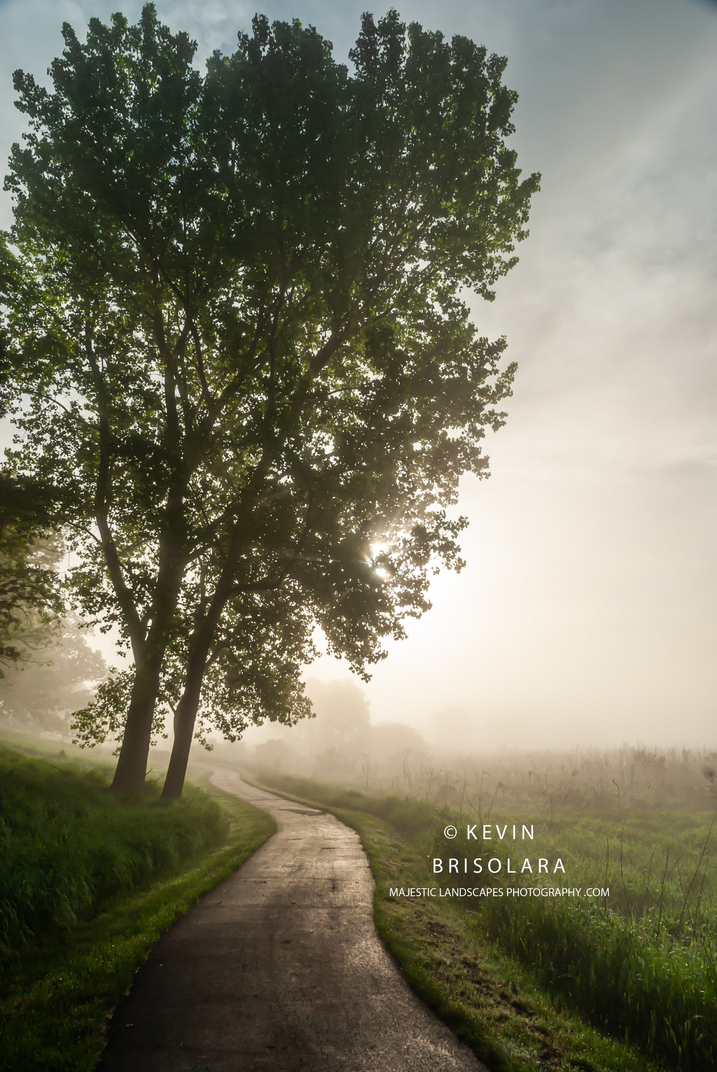 FOLLOW THE PATH TO THE COTTONWOOD TREES