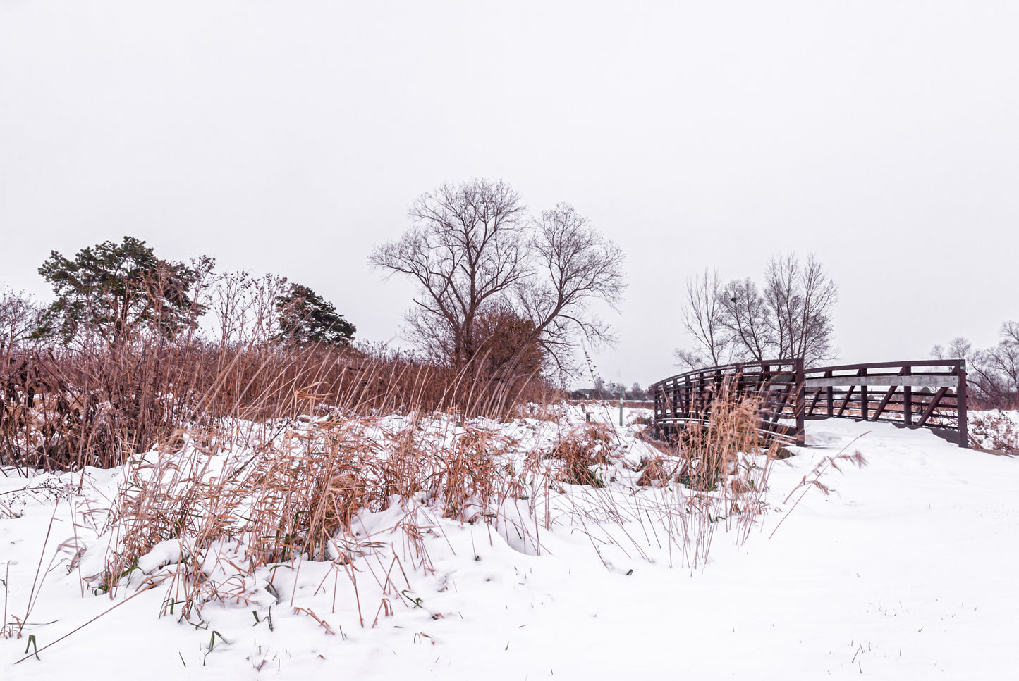 WINTER VIEWS IN NOVEMBER