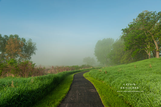 A COLORFUL SPRING WALK