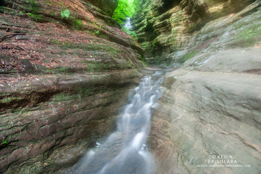 MAJESTIC SCENERY FROM THE PARK