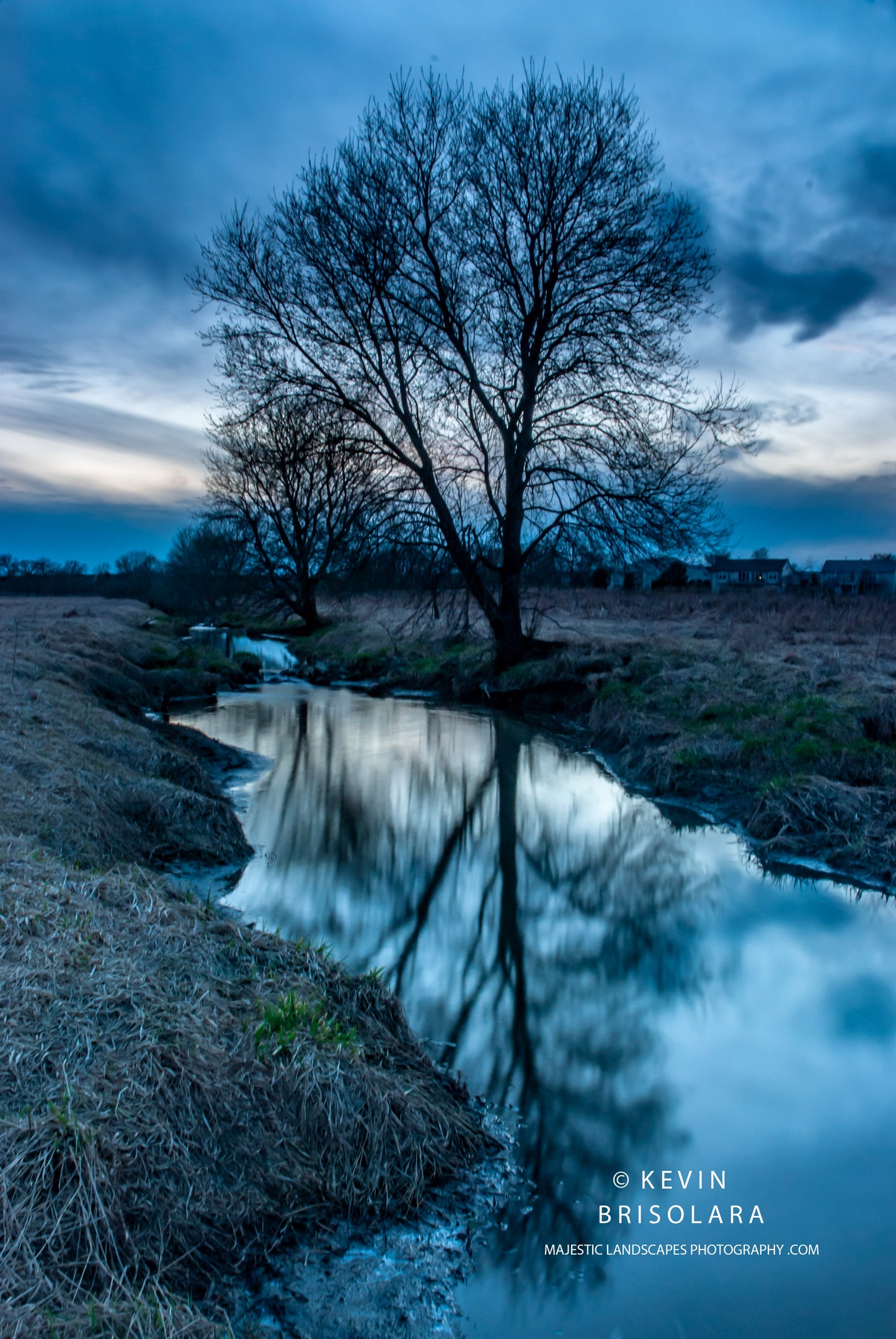 REFLECTIONS OF THE ELDERS