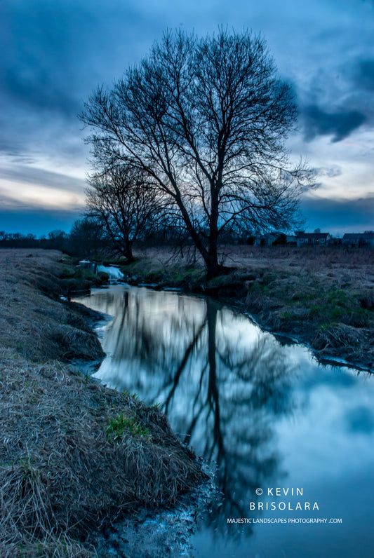 REFLECTIONS OF THE ELDERS