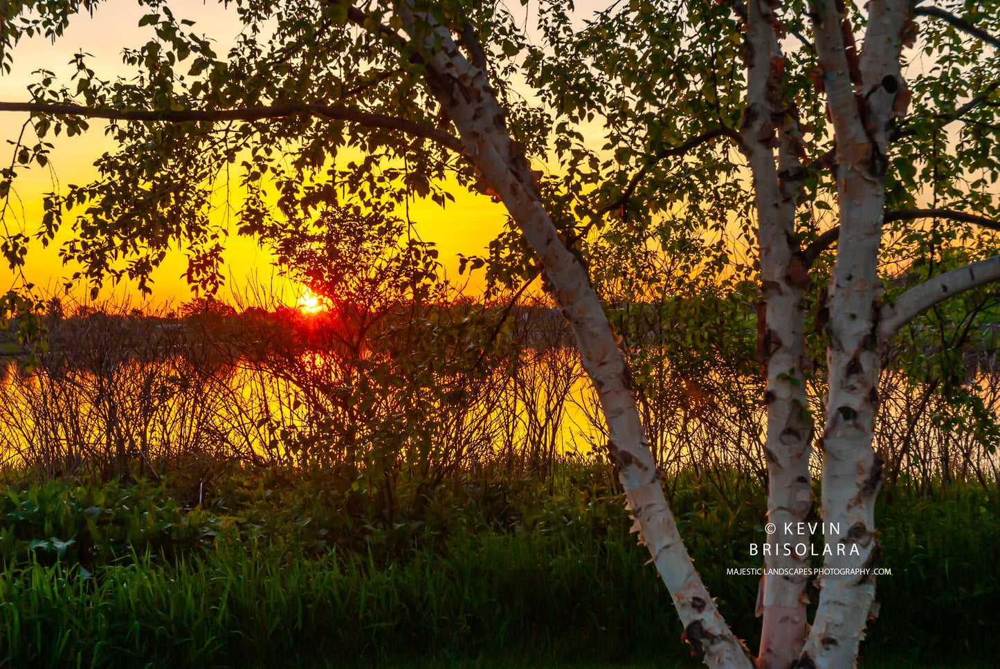 WONDERFUL SUNRISE AT WILDFLOWER LAKE