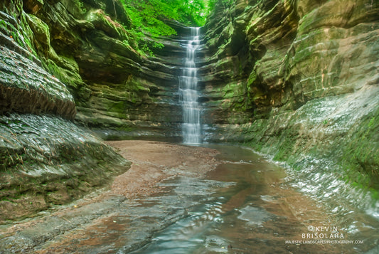 BEAUTY IN THE CANYON