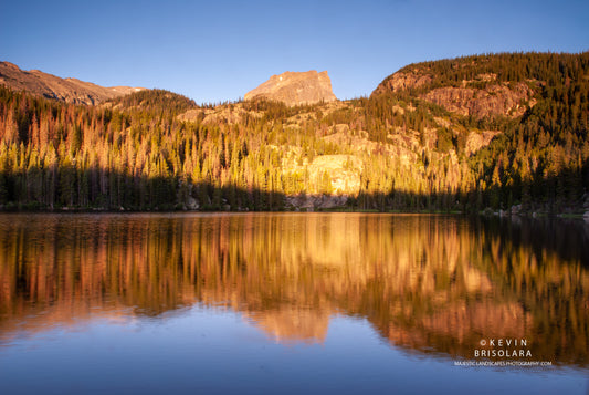 REFLECTIONS FROM A SUMMER MORNING