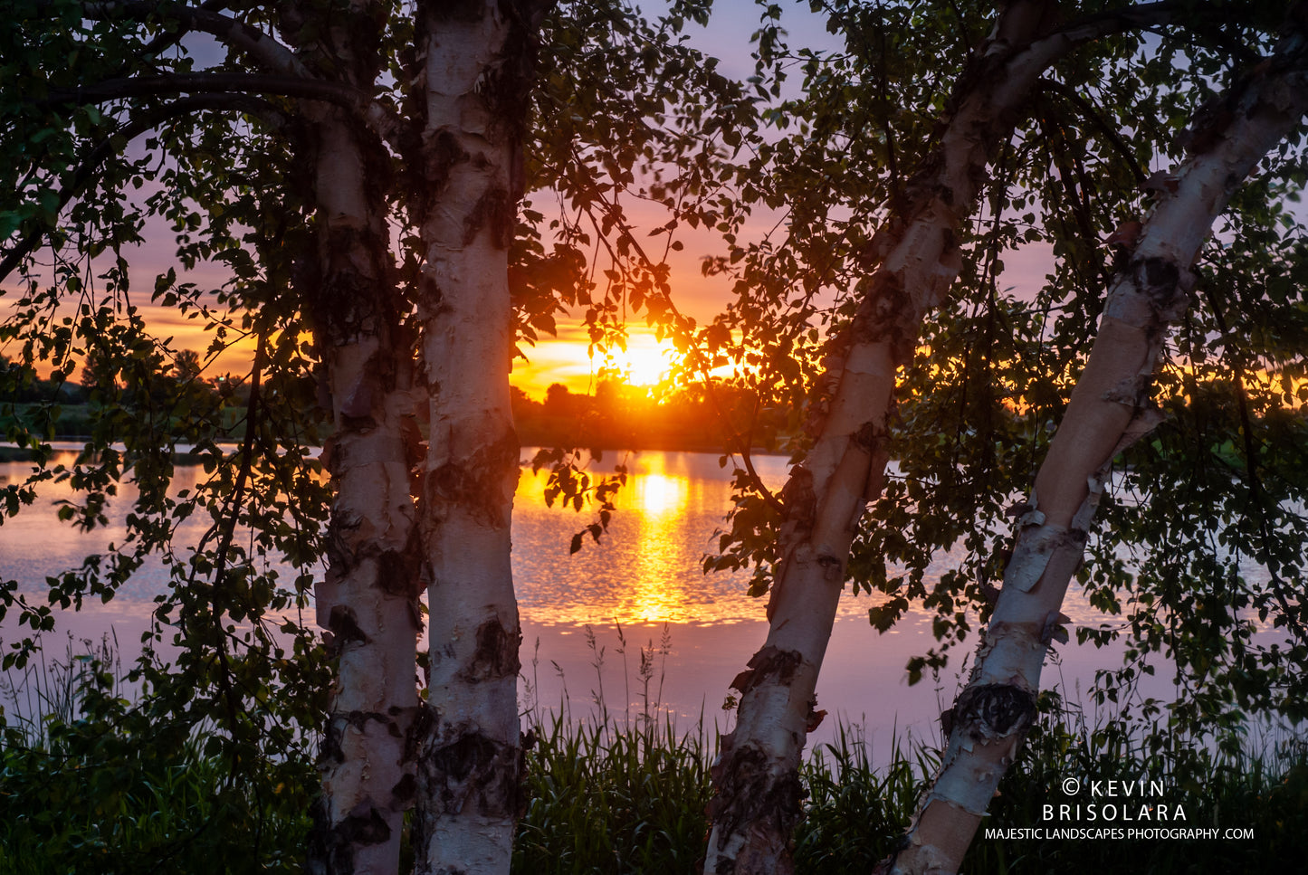 A JUNE SUNRISE AT WILDFLOWER LAKE