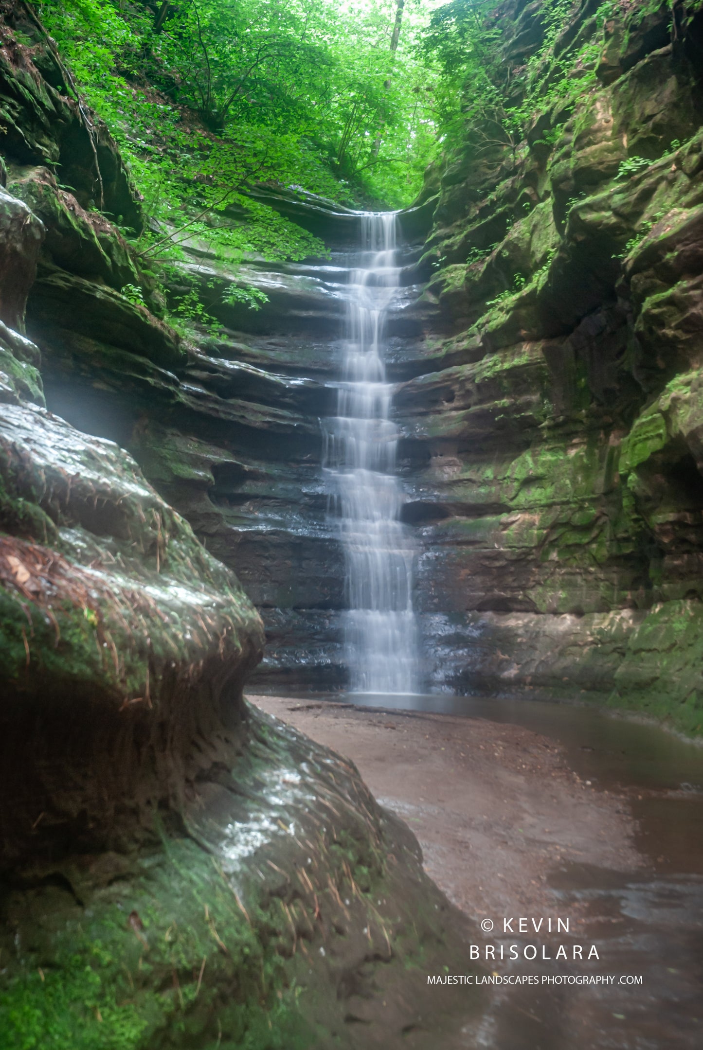 A VIEW OF BEAUTY IN THE PARK