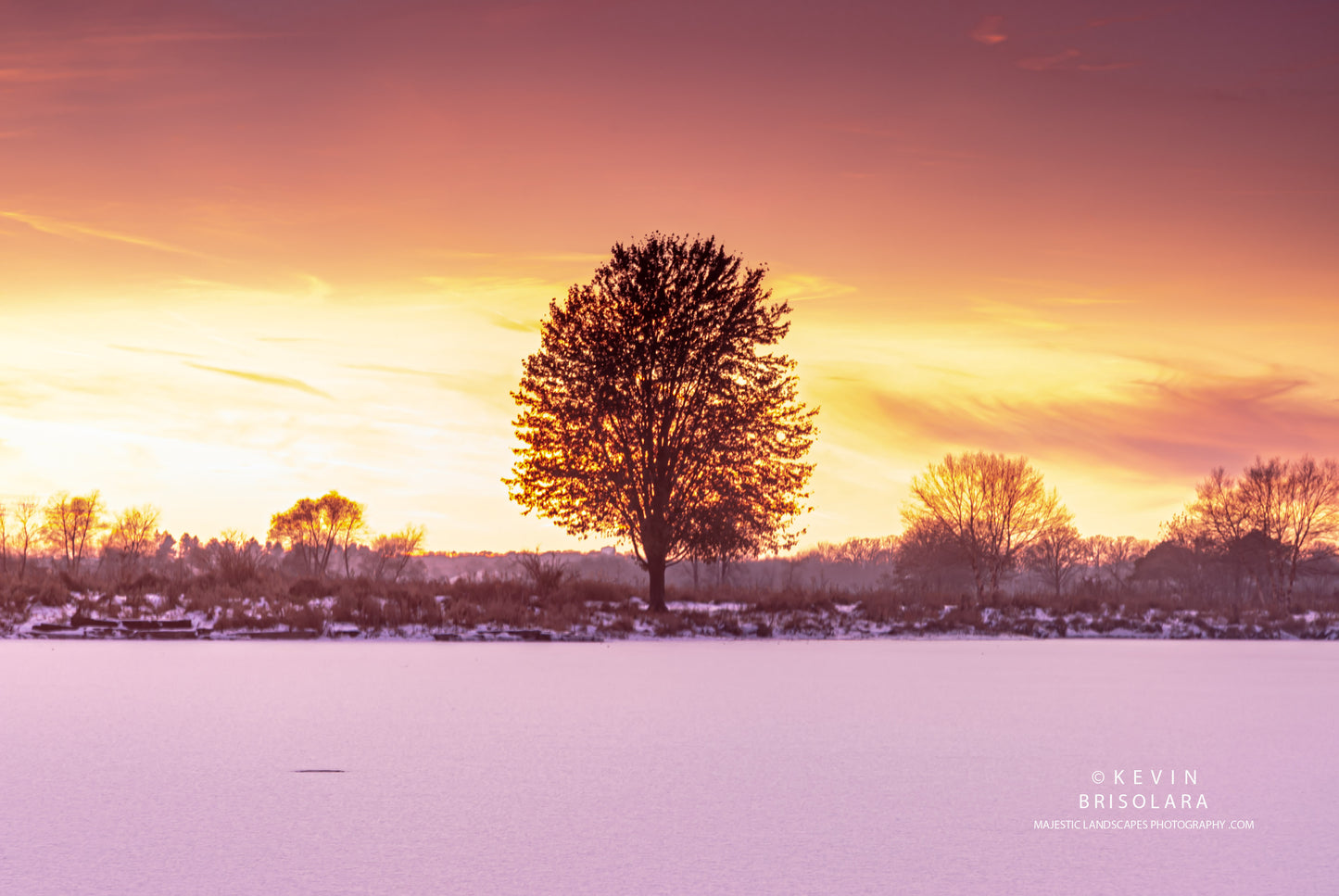 THE BURNING TREES OF SUNSET