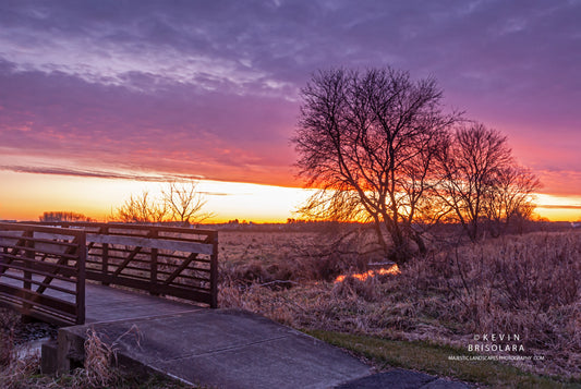 LOOKING OUT OVER THE PRAIRIE LANDSCAPE