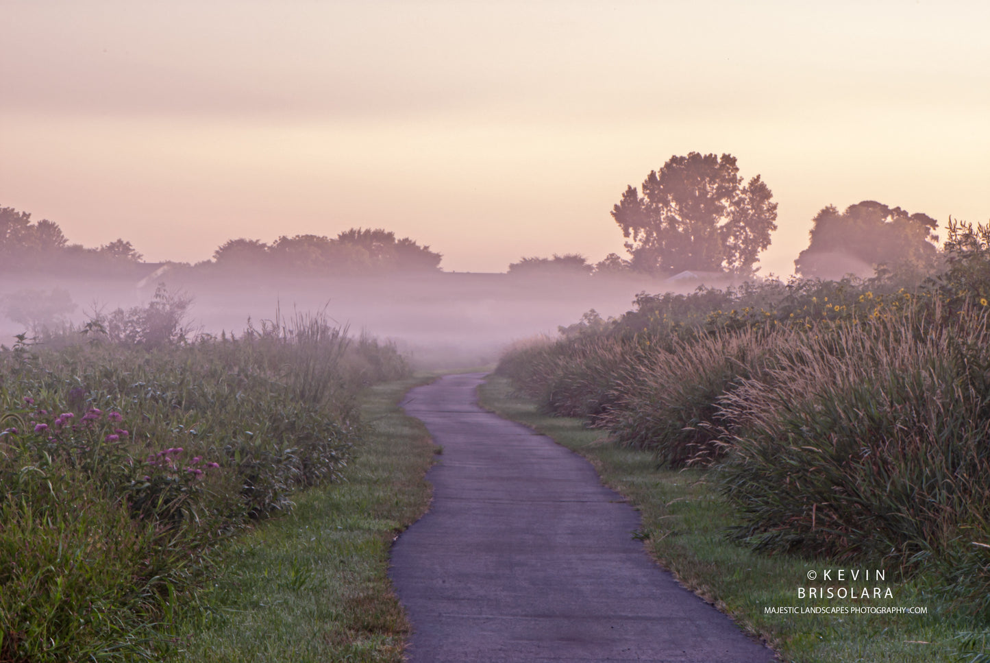 A MISTY MORNING WALK THROUGH THE PARK