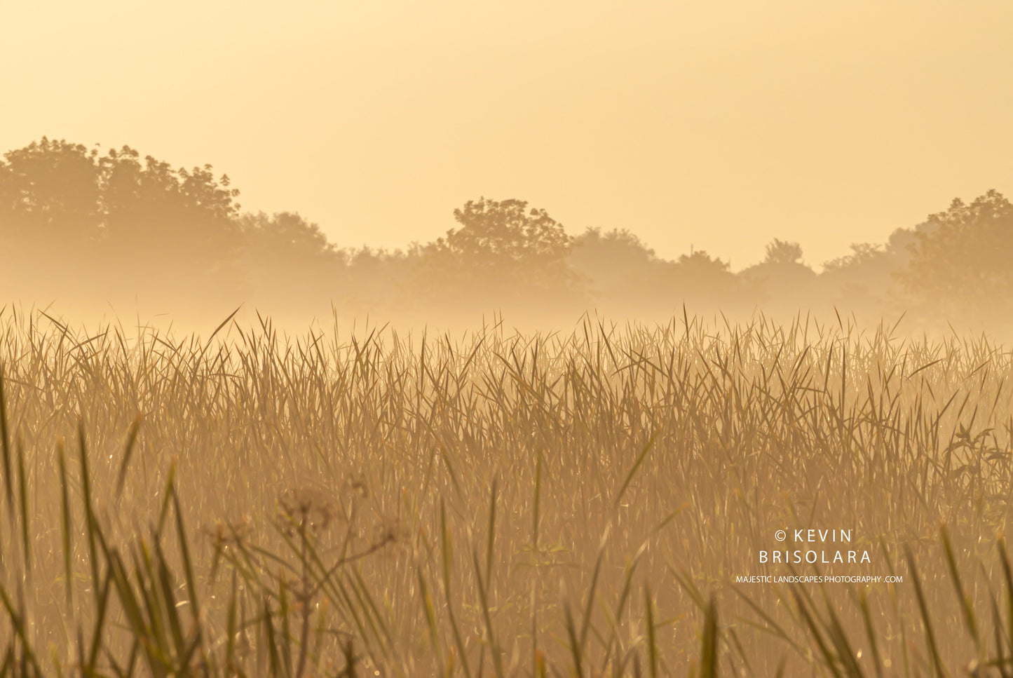 A MISTY SUNRISE IN THE PARK