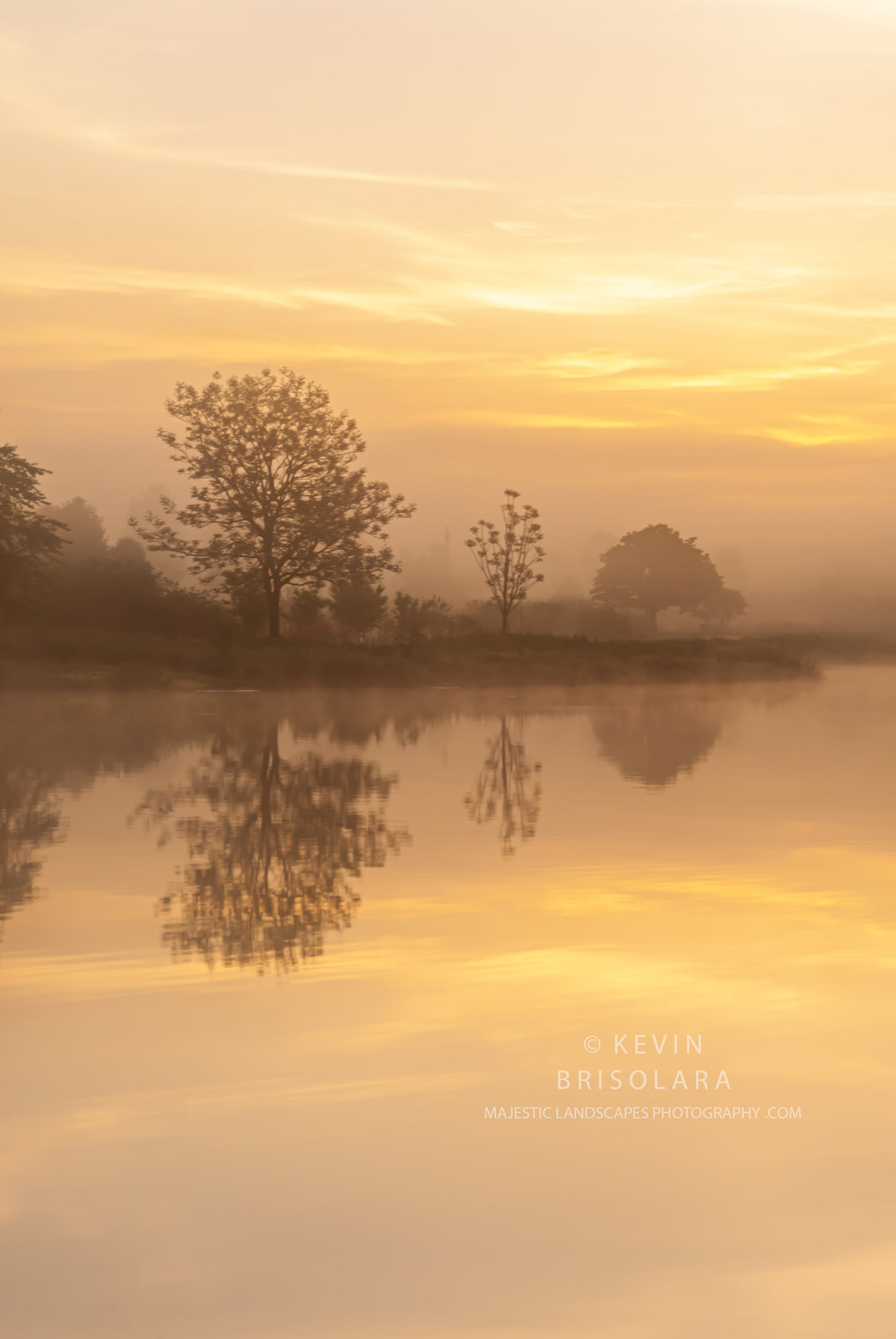 MISTY REFLECTIONS