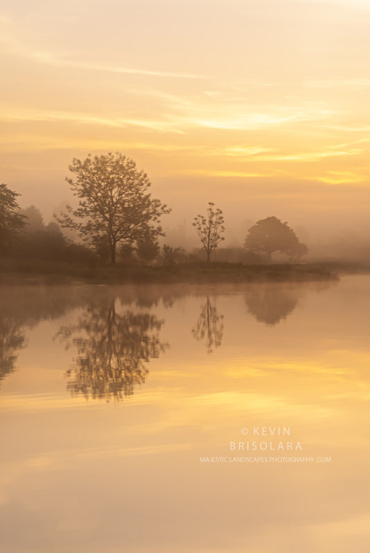 MISTY REFLECTIONS