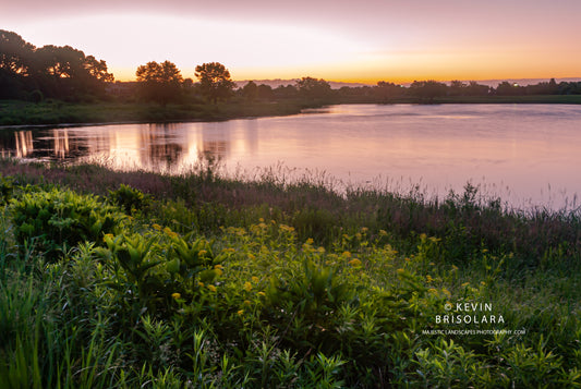 NOTE CARDS 494_01  SUNRISE