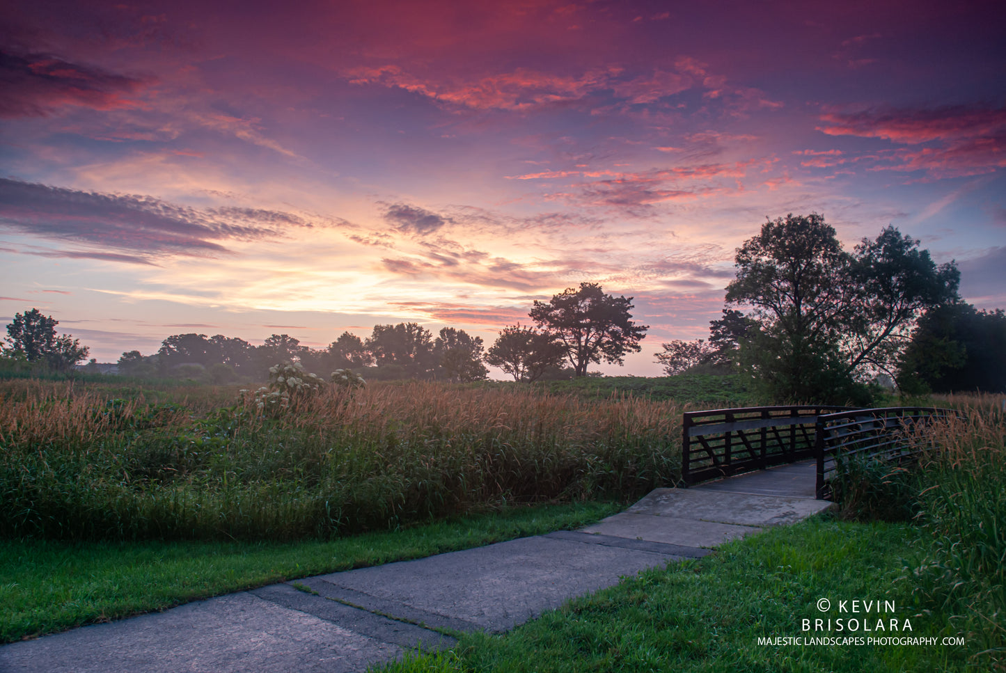 A MAJESTIC VIEW OF A SUMMER SUNRISE