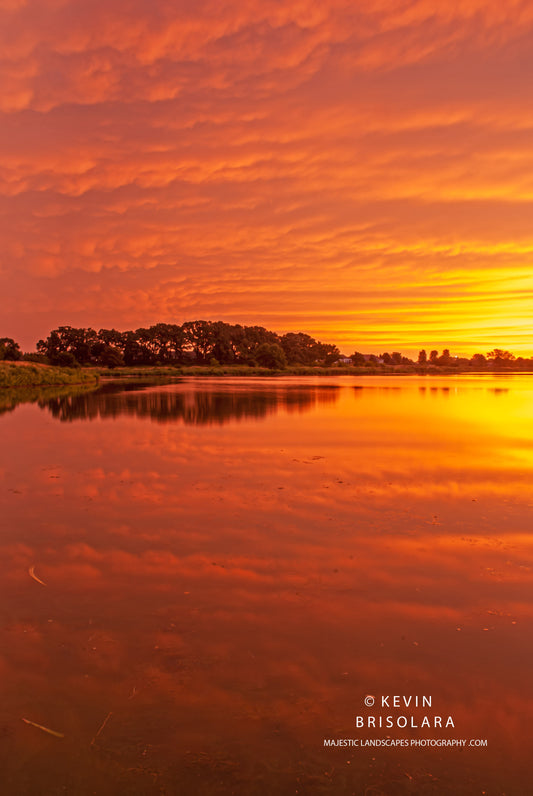 MORNING GLORY AT THE LAKE
