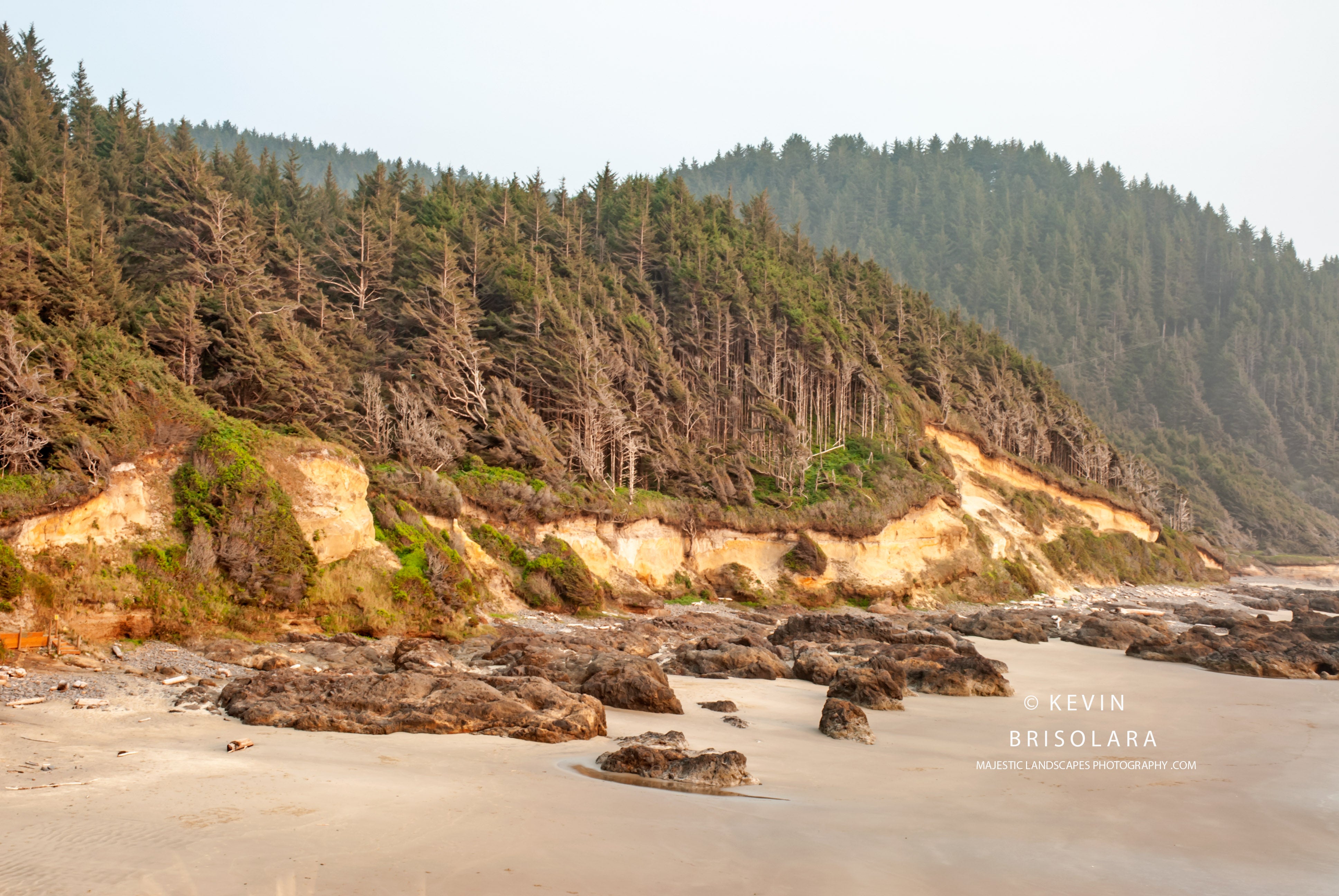 Majestic Oregon Coast hot