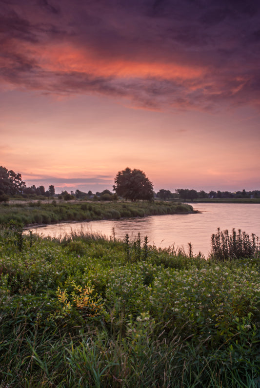 A BEAUTIFUL SUMMER MORNING