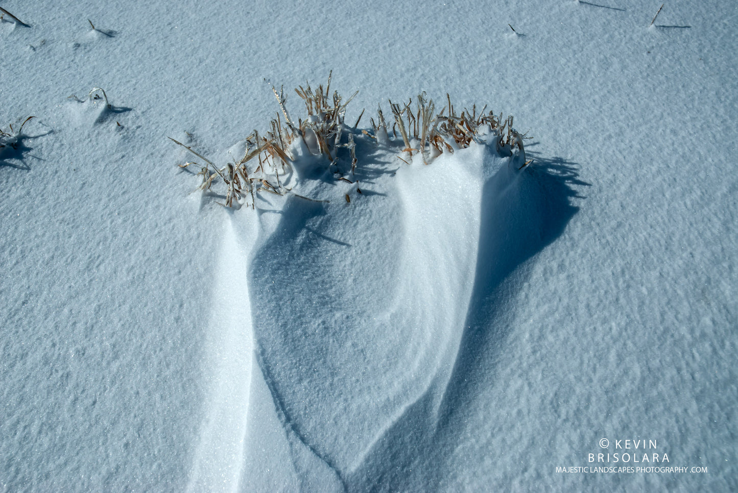PATTERNS FROM THE PRAIRIE