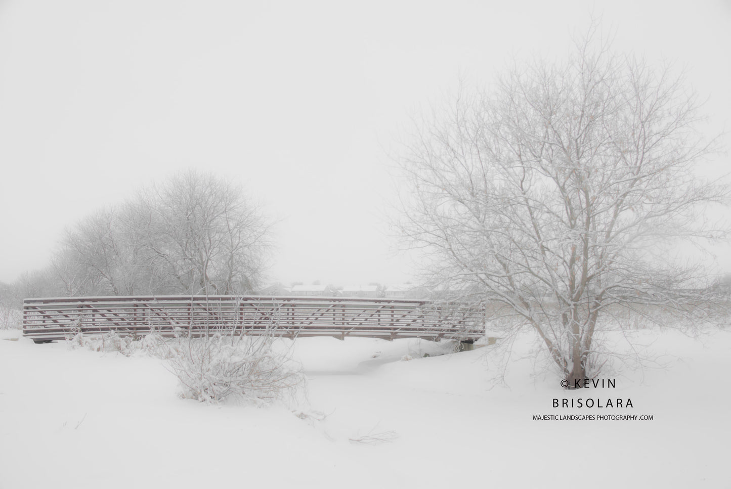 A WINTERS TALE FROM THE PARK