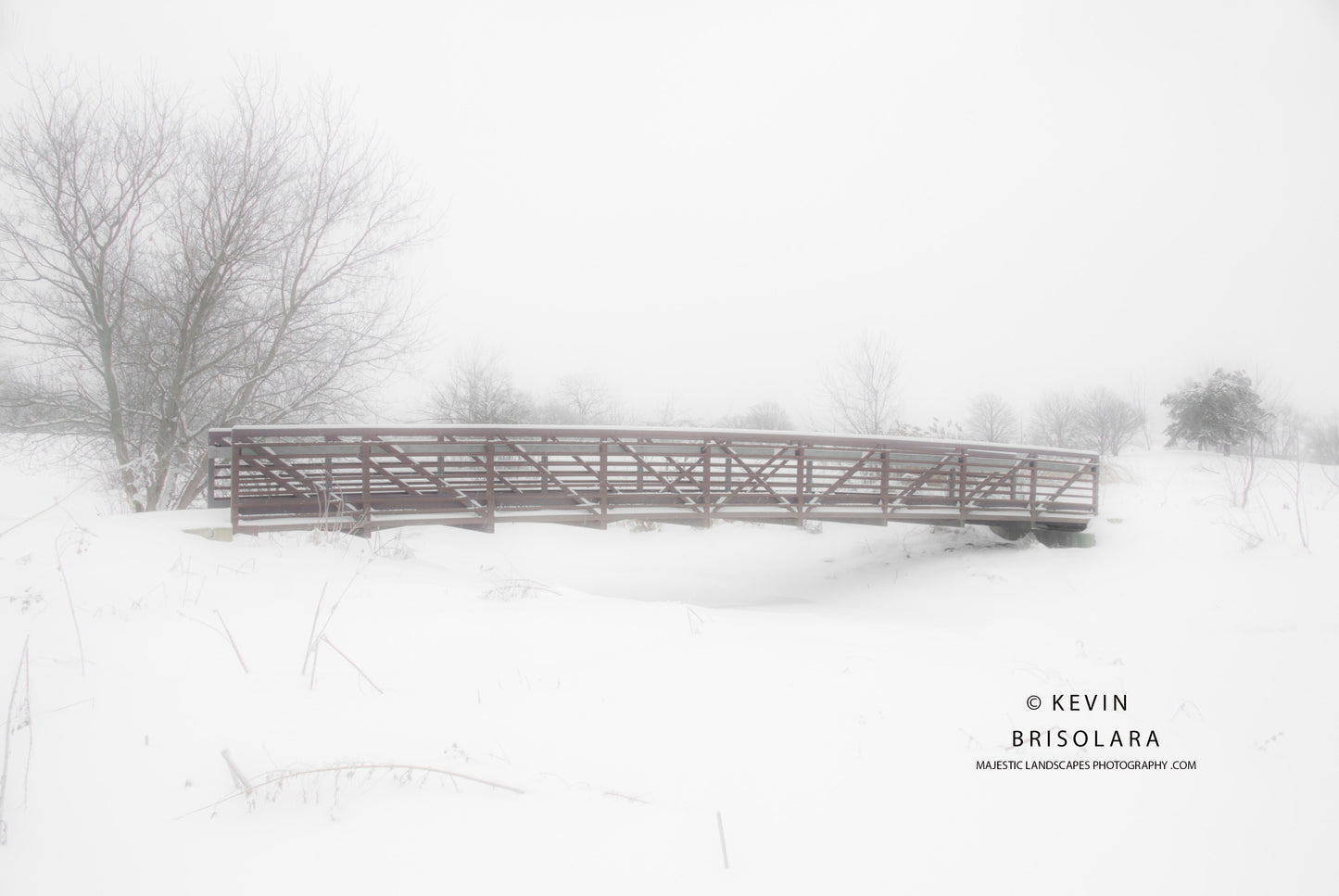 FINDING PEACE AND BEAUTY IN A MAJESTIC WINTER SCENE