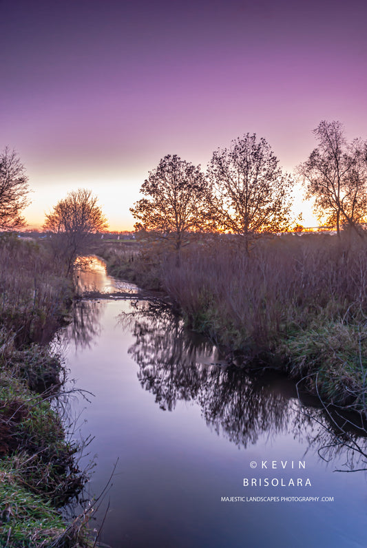 MORNING REFLECTIONS FROM THE RIVER