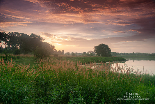 A COLORFUL SUMMER SUNRISE