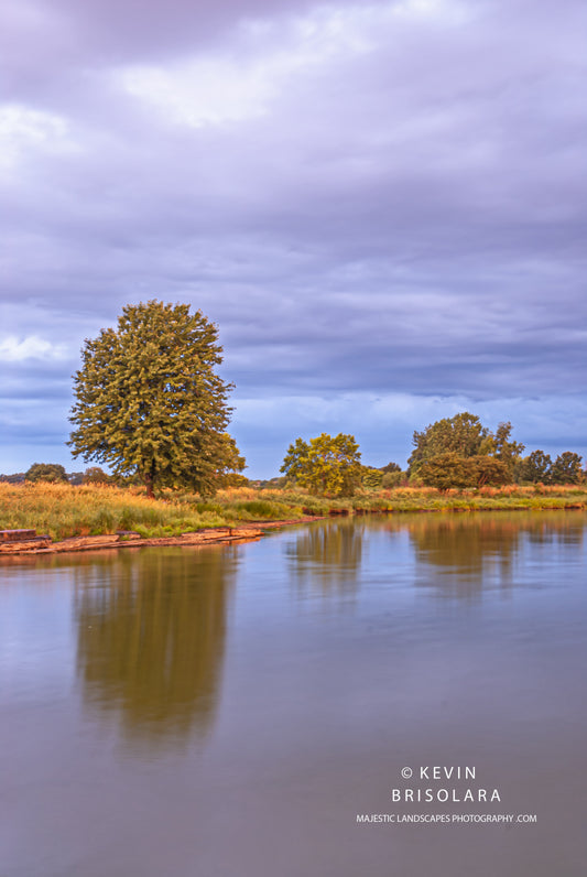 SUMMER REFLECTIONS