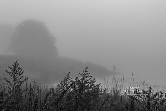 A FOGGY MORNING AT WILDFLOWER LAKE