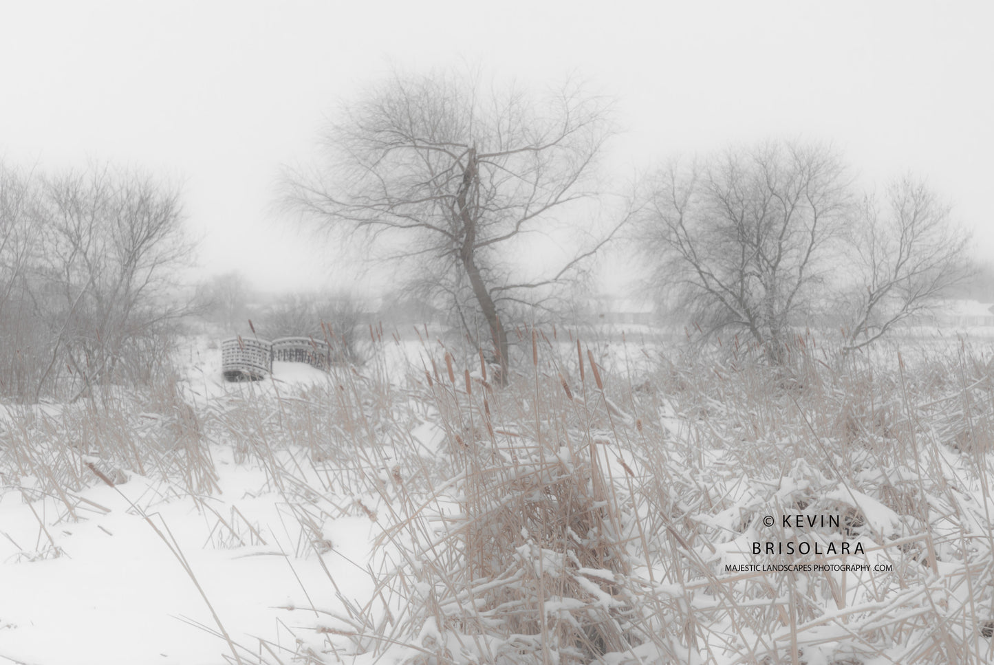 VIEWS OF A WINTER PRAIRIE