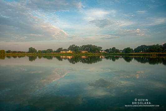 REFLECTION OF BEAUTY