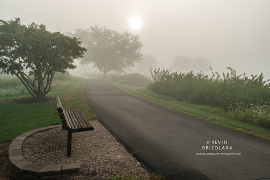 NOTE CARDS 471_32  PATH, FOG, WILDFLOWER PARK