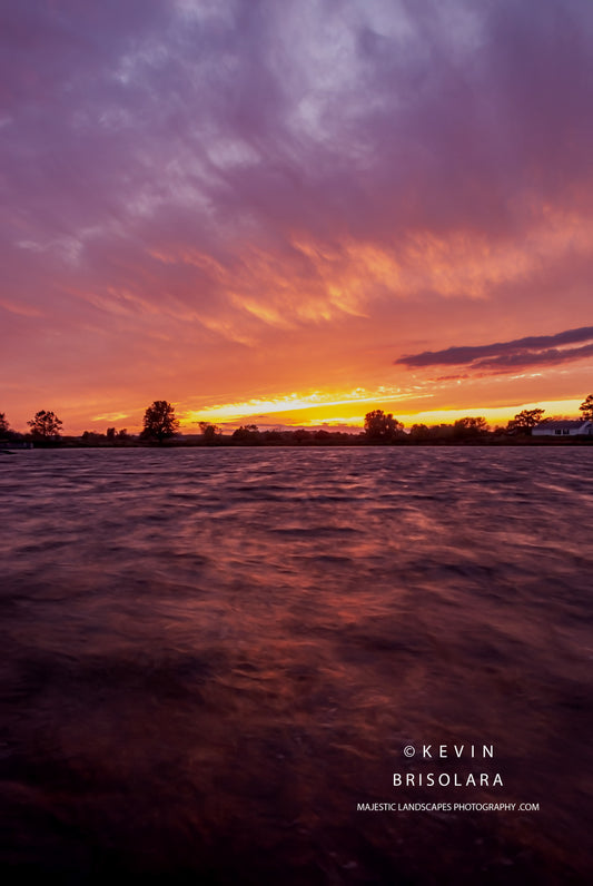 AFTER THE STORM