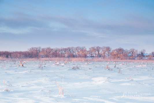 ILLUMINATING THE PRAIRIE