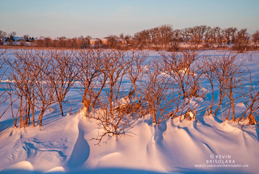 TEXTURES AND PATTERNS FROM THE EARLY MORNING SNOW