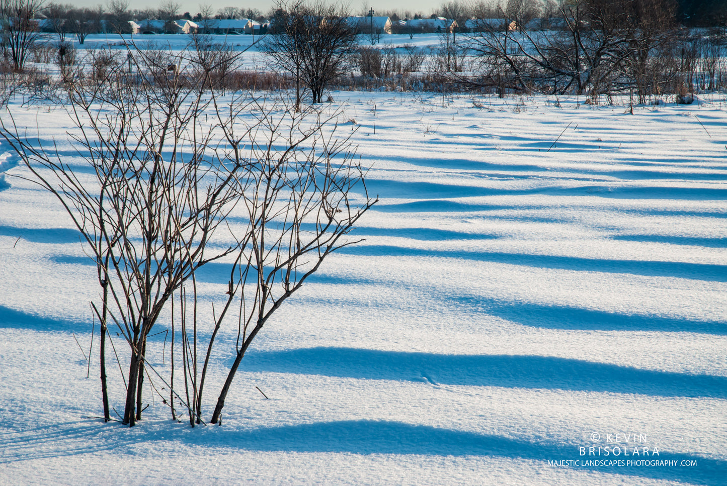 LANDSCAPE OF PATTERNS