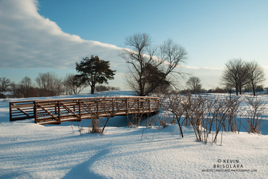 SNOWSHOEING THROUGH A WINTER WONDERLAND PARK