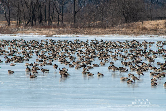 A GRAND EVENT AT THE LAKE