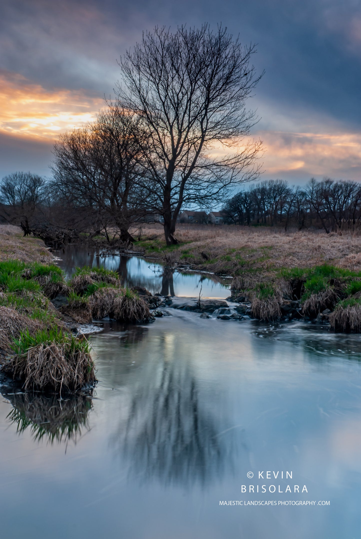 A MAJESTIC MOMENT ALONG THE CREEK