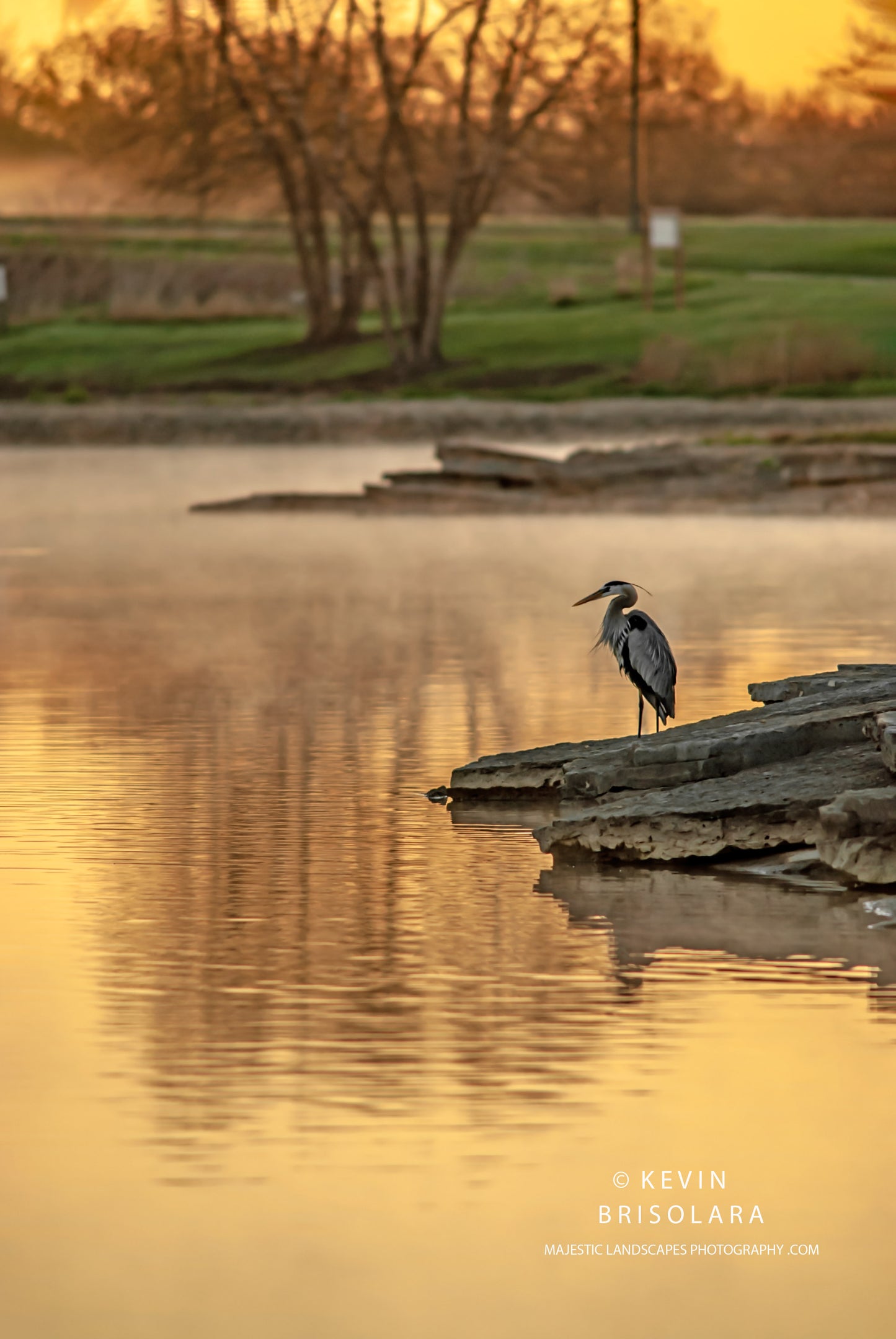 WATCHING THE SPRING SUNRISE FROM A MISTY LAKE