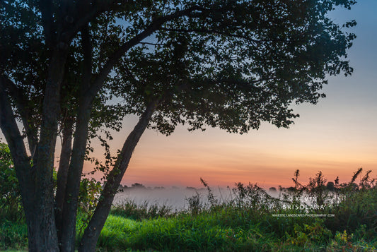 A VIEW OF A SUMMER SUNRISE AT THE LAKE