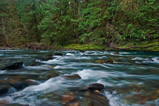 NOTE CARDS 211_118 SHARPS CREEK