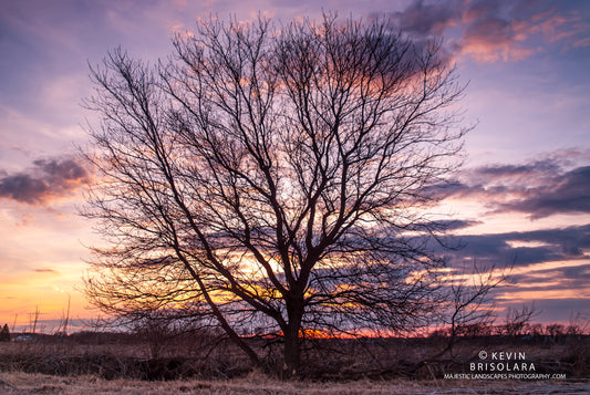 HIGHLIGHTED BY THE COLORFUL SKY