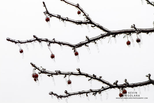 WALKING IN A ICY WINTER WONDERLAND