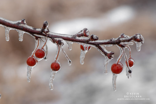 ITS ICY OUTSIDE