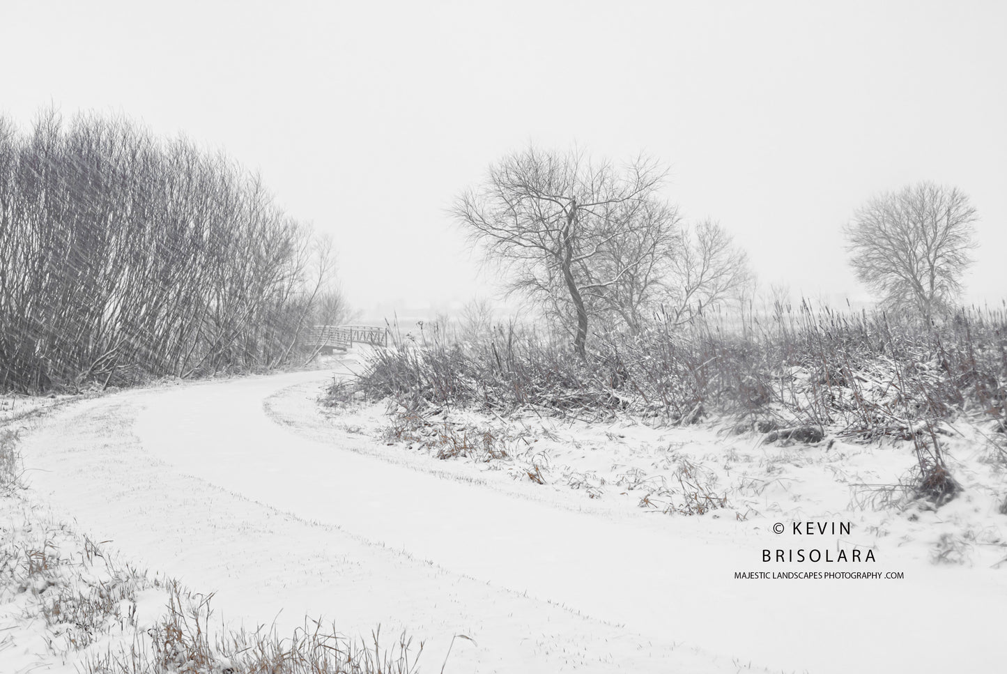 A BEAUTIFUL WINTER SCENE ON THIS WETLAND PRAIRIE LANDSCAPE