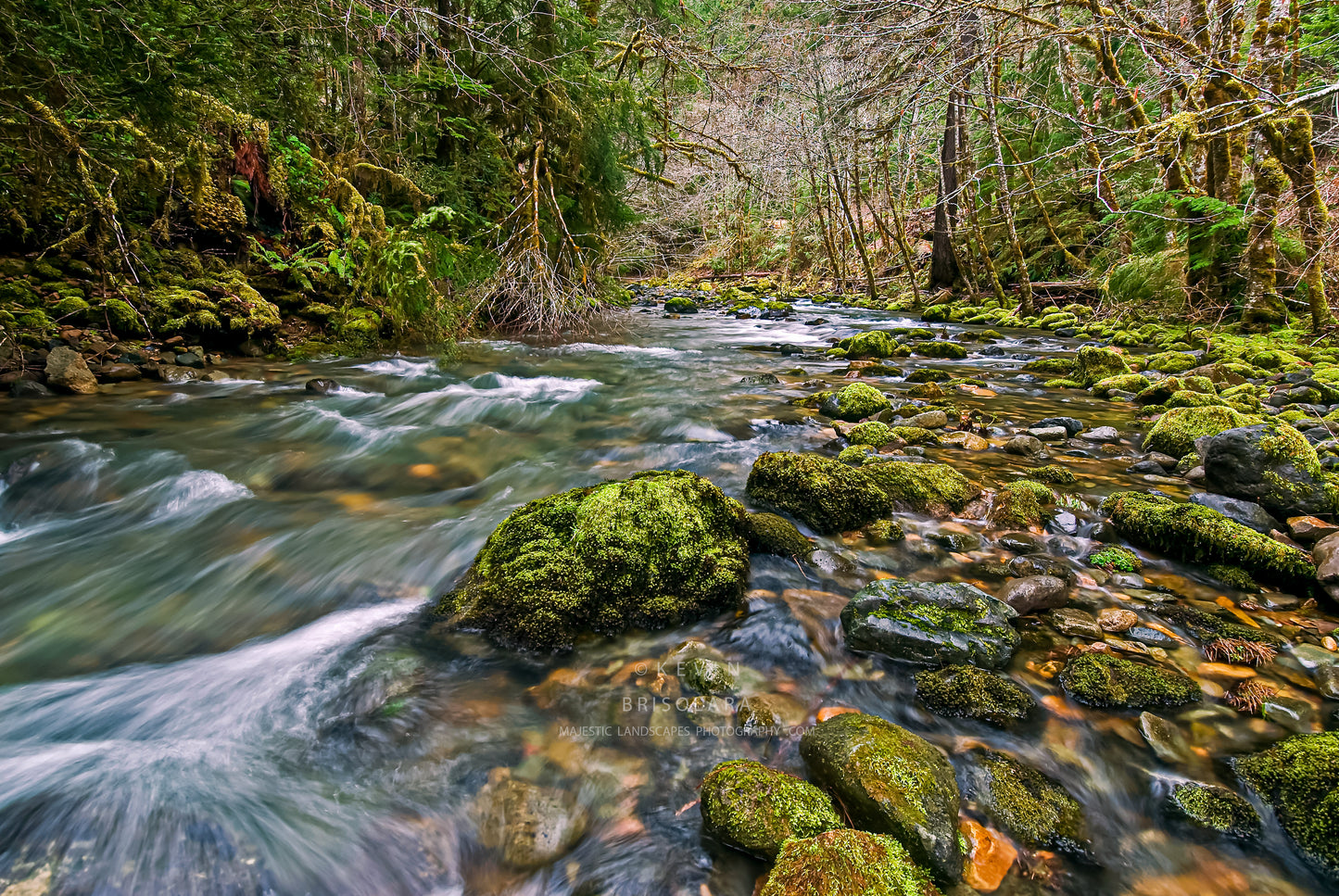 NOTE CARDS 211_161 CLARK CREEK