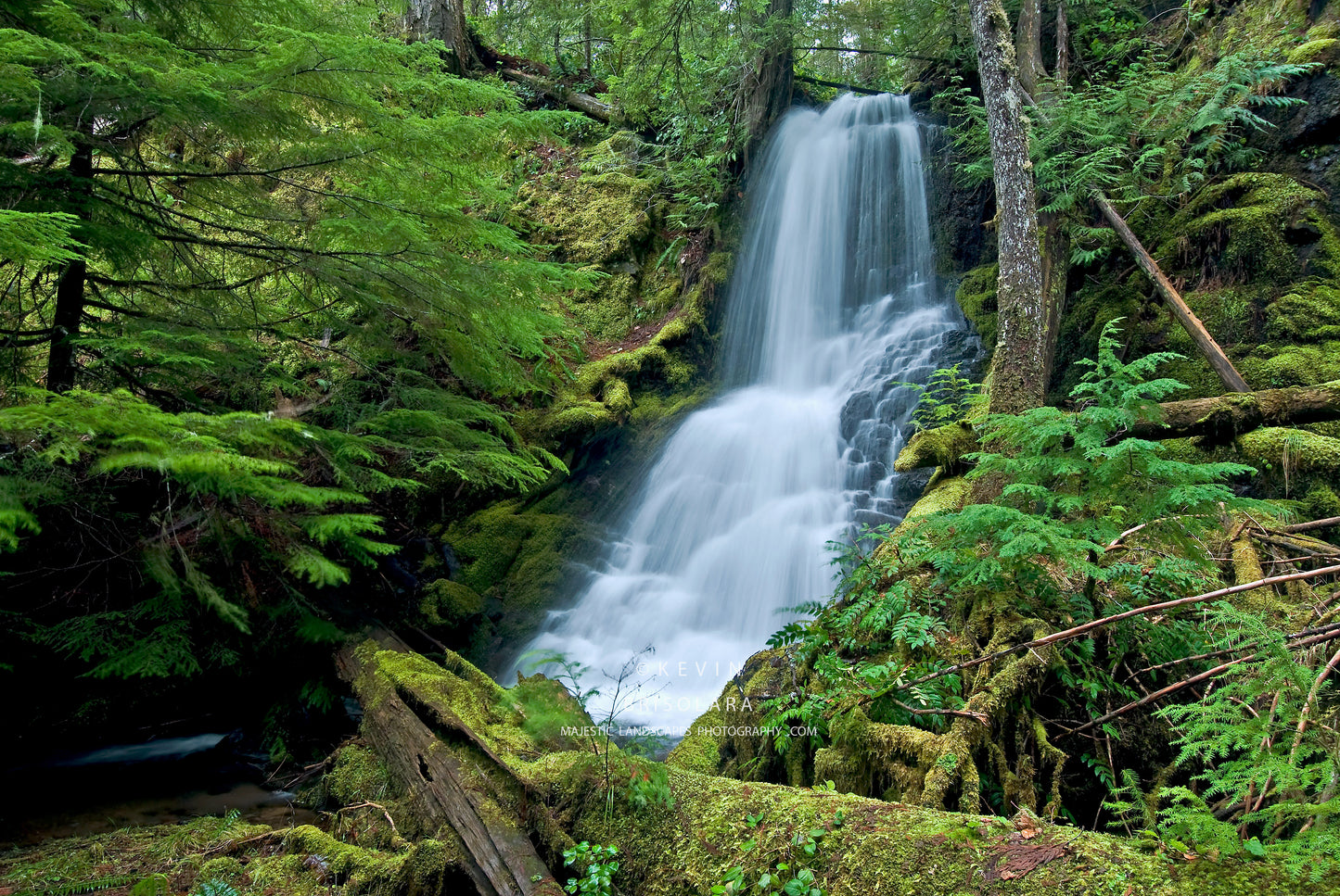 NOTE CARDS 212_378  UNNAMED WATERFALL, UMPQUA NATIONAL FOREST